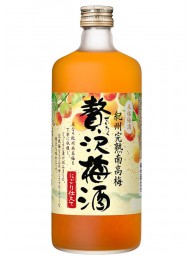 Jodo-Shusei Luxury Plum Liquor Kishu Ripe Minamitaka Plum